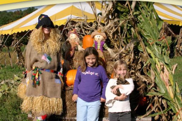 Corn Maze @ Hull-O Farms