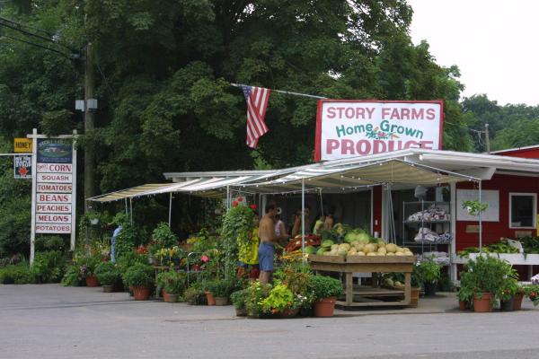 Story Farms