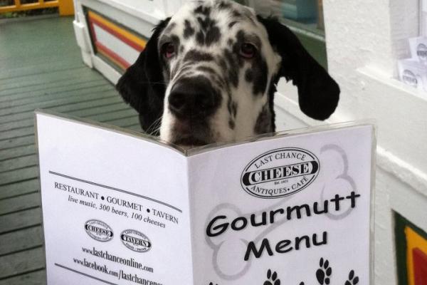 Last Chance Antiques & Cheese Cafe