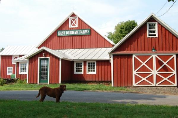 East Durham Farms