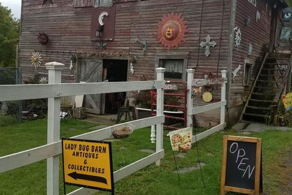 Ladybug Barn Antiques 