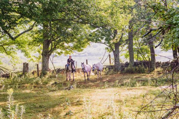 Vidbel Mountain Homestead