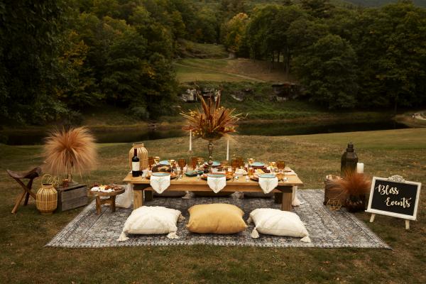 Luxury Picnic by Bliss events