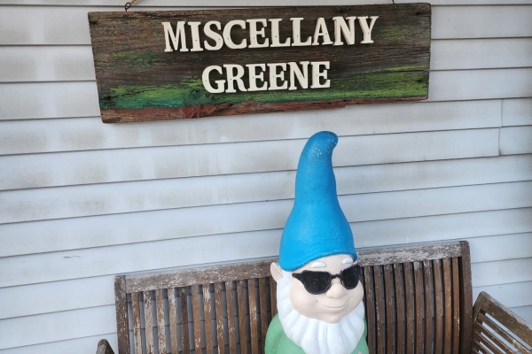 Miscellany-Greene-Coxsackie-yoga-meditation