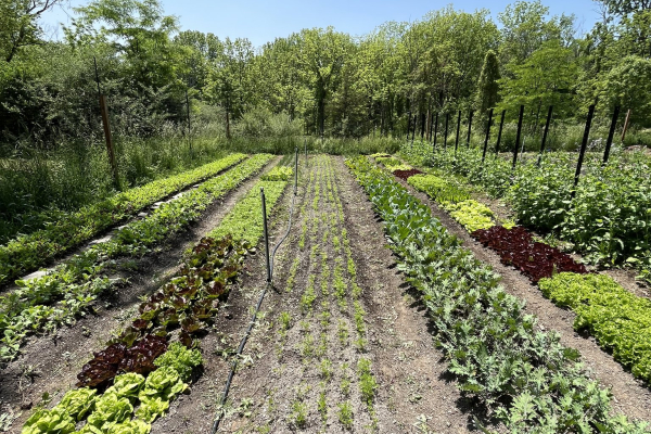 Vernon-Street-Farm-Athens-NY