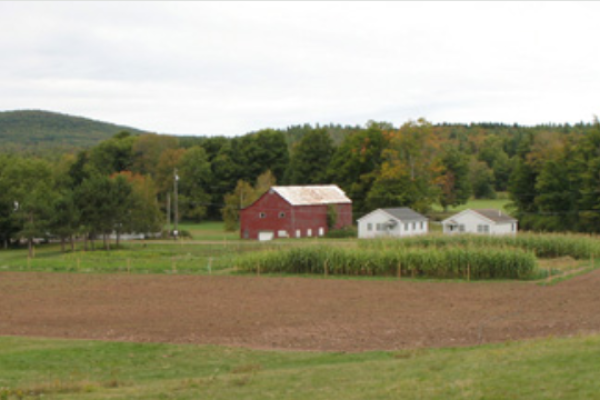 scribner-hollow-farm-stand-northern-catskills-home-made-jams-non-gmo