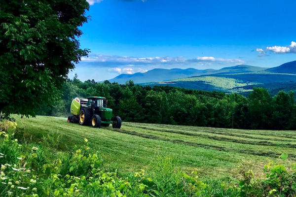 End-of-the-lane-farm-Cornwallville-ny