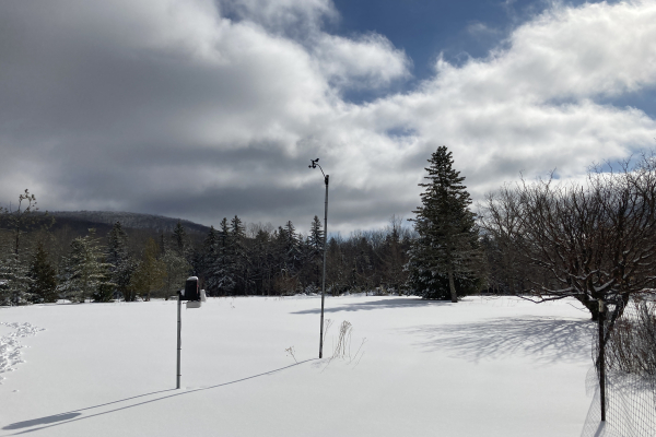 mountain-top-arboretum-winter-tannersville-ny