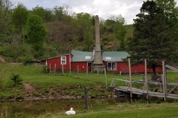 Maple-hill-farms-prattsville-ny
