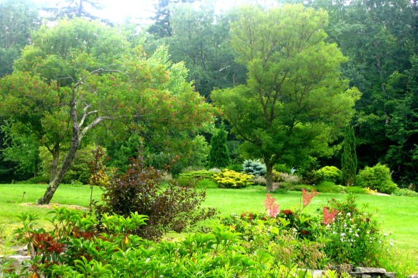 mountain top arboretum west meadow