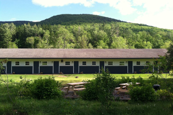 Spruceton Inn: A Catskill Bed and Bar