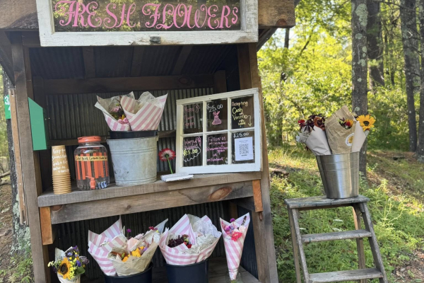 Mama-B's-Flower-Garden-catskill-ny