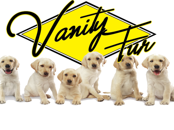 Vanity Fur logo