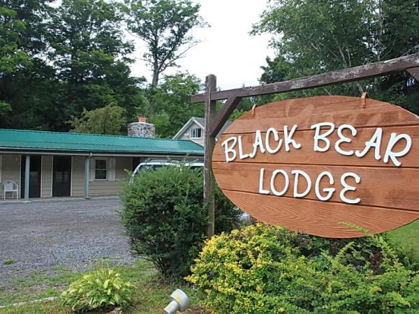 Black Bear Lodge