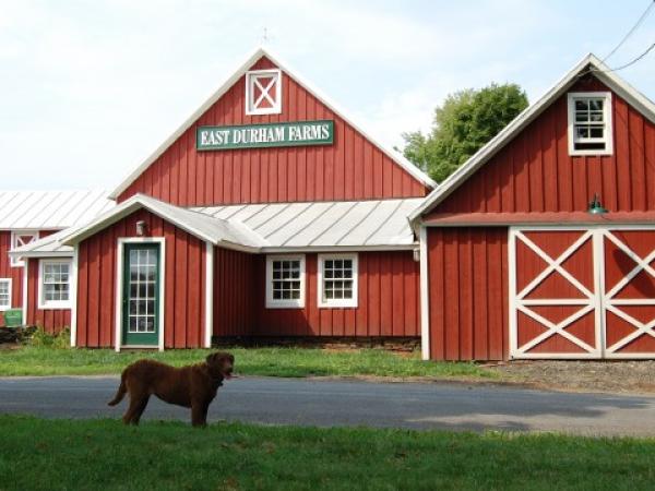 East Durham Farms