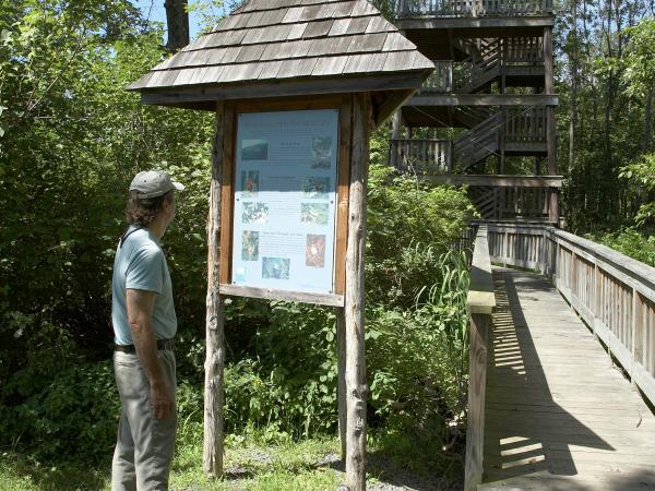 bird watching in the Catskills