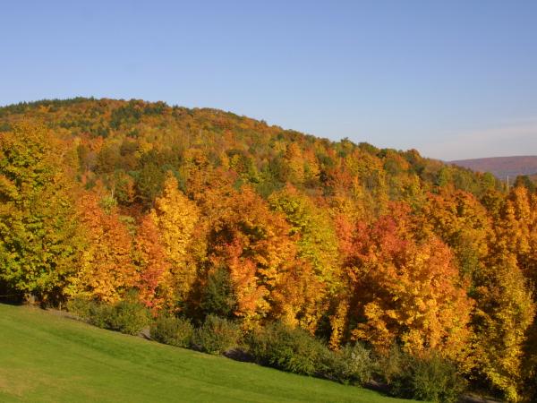 Fall Foliage in the Catskill Mountains