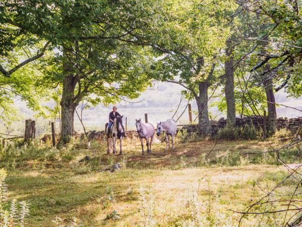 Vidbel Mountain Homestead