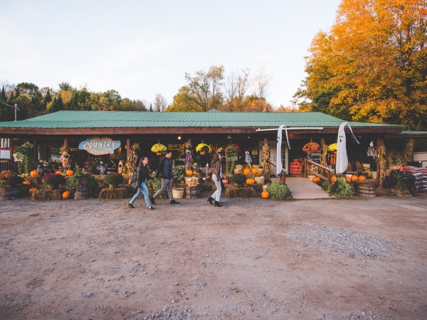 Catskills country store during Fall