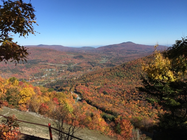fall in Greene County
