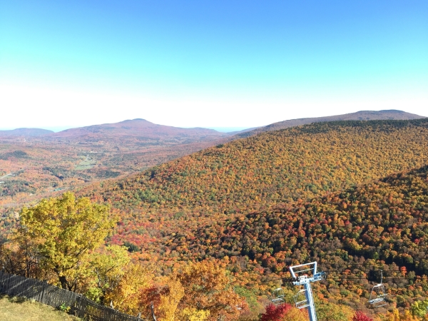 fall foliage hiking spot in Greene County