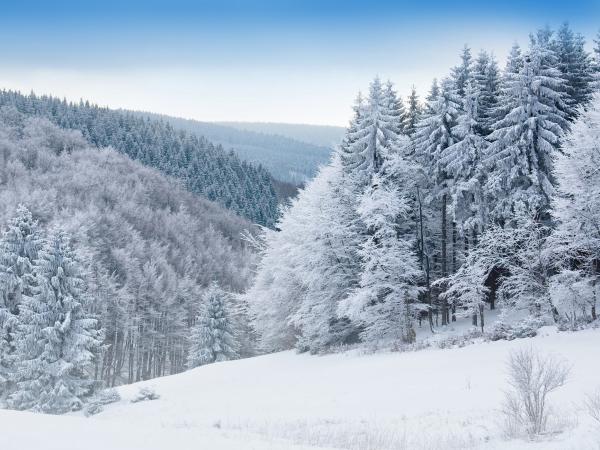 beautiful winter landscape in the Great Northern Catskills of NY