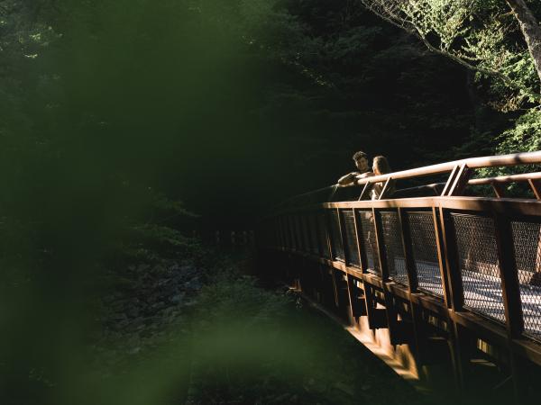 kaaterskill viewing platform