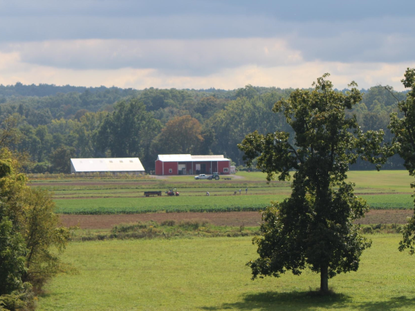 Farm vista
