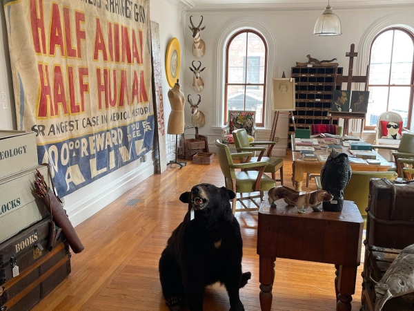 UnQuiet antiques Coxsackie