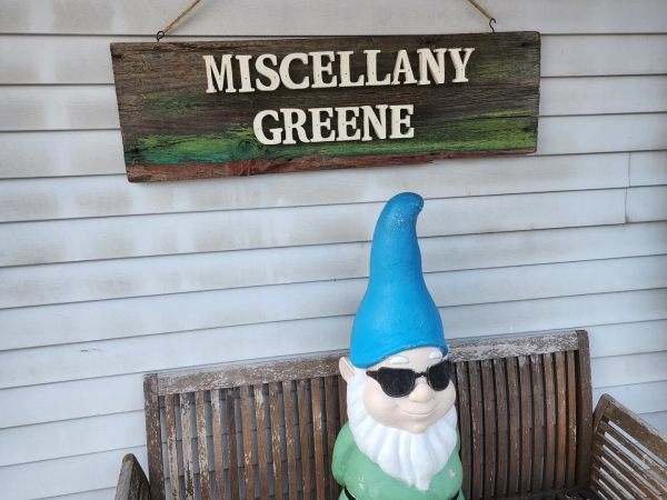 Miscellany-Greene-Coxsackie-yoga-meditation