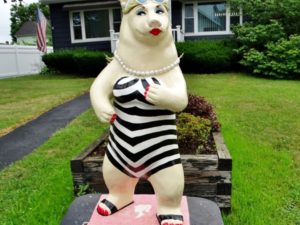 cairo-bear-exhibit-cairo-ny