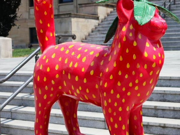 Cat'n-around-catskill-ny 