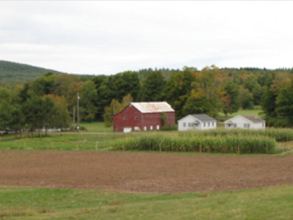 scribner-hollow-farm-stand-northern-catskills-home-made-jams-non-gmo