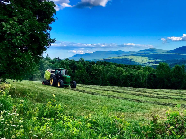 End-of-the-lane-farm-Cornwallville-ny