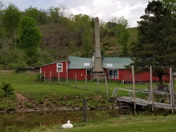 Maple-hill-farms-prattsville-ny