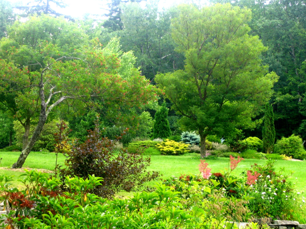 mountain top arboretum west meadow