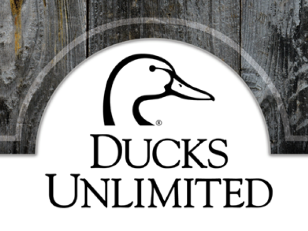 Great-Northern-Catskills-Ducks-unlimited-Greene-County-Chapter