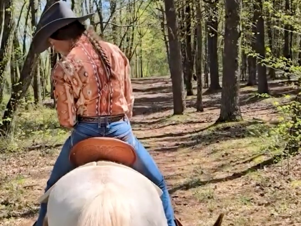 Bailiwick-animal-park-and-riding-stables-great-northern-catskills-horseback-riding