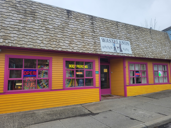 Wastelands-Hatter-And-Hare-novelty-shop-Tannersville-ny