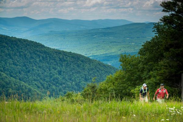 Summer in the Catskills  Great Northern Catskills of Greene County