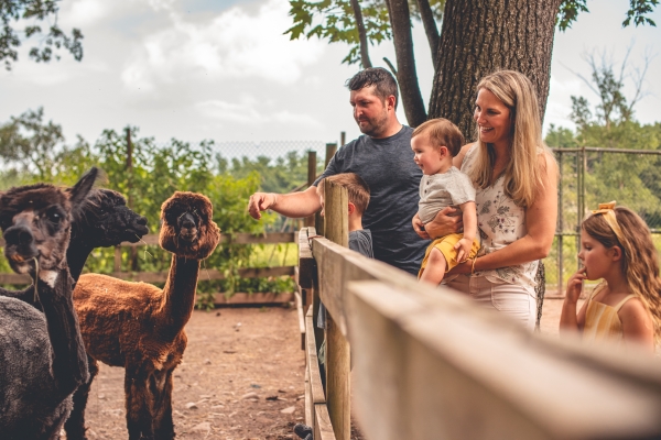 Bailiwick Animal Park & Riding Stables