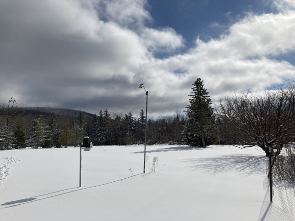 mountain-top-arboretum-winter-tannersville-ny