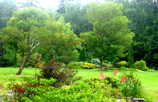 mountain top arboretum west meadow