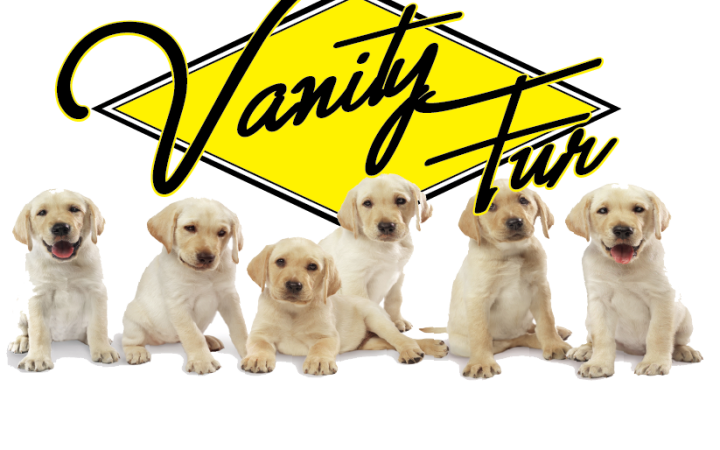 Vanity Fur logo