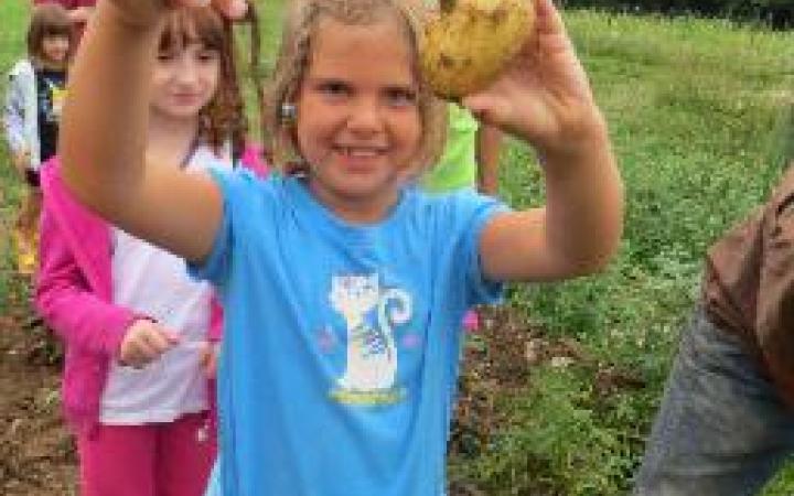 Foxtail Community Farm