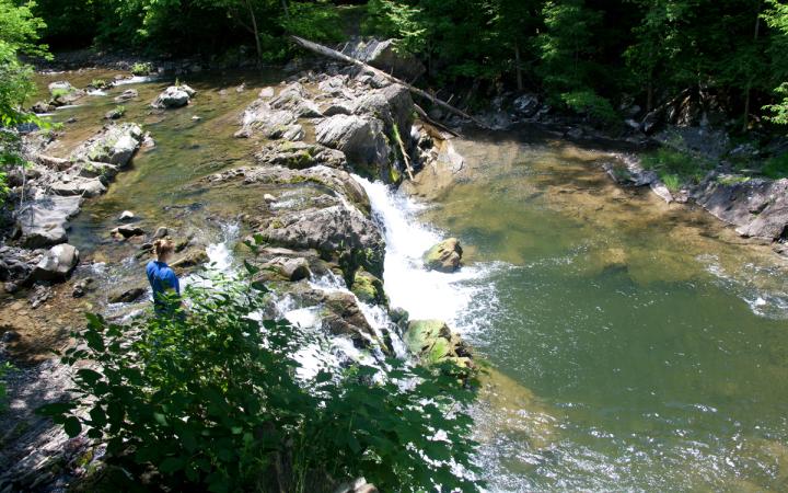 Hannacroix Creek Preserve (HCP)