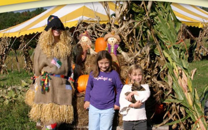 Corn Maze @ Hull-O Farms