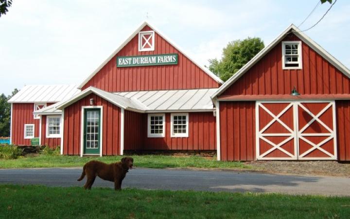 East Durham Farms