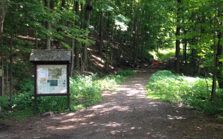 Kaaterskill Clove Lookout