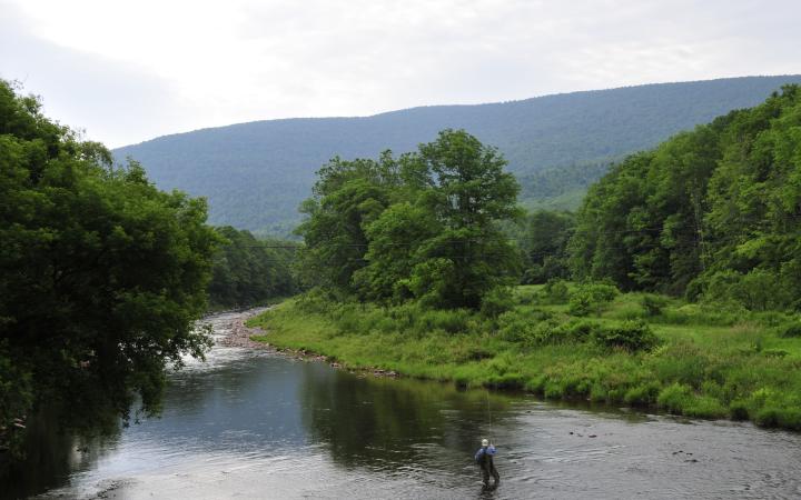 fishing in the catskills